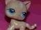 Littlest Pet Shop LPS Figurka kot kotek