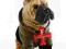 Fuzzy Nation piesek Sharpei Nuff Manhattan Toy