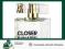 HALLE BERRY CLOSER EDP 15ml SPRAY