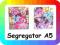 SEGREGATOR NA KARTECZKI A5 MY LITTLE PONY KUCYKI