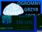 WIELKI OZDOBNY GRZYBEK świecący 240 LED OGRODOWY