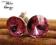 Kolczyki  wkręty Swarovski Rose RV02 róż