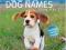 1000 DOG NAMES FROM A-Z Gerd Ludwig