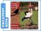 greatest_hits PTAKI NA WSI (DIGIPACK) (CD)