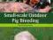 SMALL-SCALE OUTDOOR PIG BREEDING Wendy Scudamore