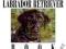 THE EVERYTHING LABRADOR RETRIEVER BOOK Thornton