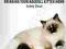 A RAGDOLL KITTEN CARE GUIDE Jenny Dean