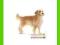 [MALAKO_PL] SCHLEICH Golden retriever, pies
