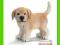 [MALAKO_PL] SCHLEICH GOLDEN RETRIEVER, SUCZKA