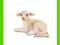 [MALAKO_PL] SCHLEICH LEŻĄCA OWIECZKA