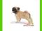 [MALAKO_PL] SCHLEICH MOPS