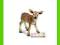 [MALAKO_PL] SCHLEICH MŁODY JELEŃ