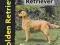 GOLDEN RETRIEVER (DOG BREED BOOK) Bauer