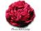Broszka kwiat PEONIA - 11cm - 46 kolorów - fuksja