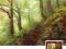 PUZZLE HEYE 1000 EL. Magic Forests, Path