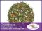 Herbata Zielona GENMAICHA JAPAN STYLE 50g