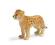 Schleich - gepard młody - 14327 + katalog
