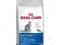 Royal Canin kot Indoor 400g+6 saszetek 85g GRATIS