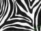OKLEINA MEBLOWA 67,5x50 ZEBRA WYSYŁKA-24H 11029