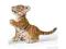 Schleich - tygrys młode - 14372 + katalog