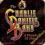 CD CHARLIE DANIELS BAND, THE - A Decade of Hits