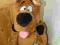 Scooby Doo - Scooby Doo ze schowkiem - 50 cm