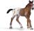 Schleich - 13732 koń - źrebak rasy Appaloosa