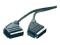 Kabel SCART Euro SpeaKa Pro 10-pin czarny 5 m