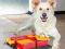 Zabawka dla psa Trixie Dog Activity POCKER BOX