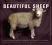 BEAUTIFUL SHEEP: PORTRAITS OF CHAMPION BREEDS Dun