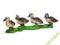KACZĄTKA SCHLEICH 13655