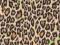 OKLEINA MEBLOWA 45x50 LEOPARD  WYSYŁKA-24H 12135