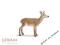 RECZNIE MALOWANA SARNA STOJĄCA SLCHLEICH