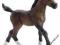 KOŃ ARAB ŹREBIĘ RASY ARABSKIEJ SCHLEICH 13762