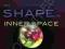 SHAPE OF INNER SPACE Steve Nadis