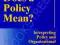 HOW DOES A POLICY MEAN Dvora Yanow