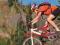 MAINTAINING MOUNTAIN BIKES: DO-IT-YOURSELF GUIDE