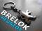 BRELOK BRELOCZEK PEUGEOT 206 207 208 307 407 508 R