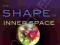 THE SHAPE OF INNER SPACE Yau, Nadis