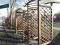 sztachety deski płoty  donice   Warszawa-Wesoła