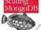 SCALING MONGODB Kristina Chodorow