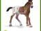 SCHLEICH Źrebię rasy Appaloosa new 2013