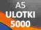 Ulotki A5 5000 szt. -Dostawa 0 zł - PREMIUM 170g