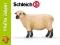 Schleich Owca Shropshire 13681 Nowość 2012