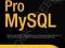 PRO MYSQL (EXPERT'S VOICE IN OPEN SOURCE) Pipes