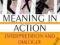 MEANING IN ACTION Hendrik Wagenaar