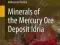 MINERALS OF THE MERCURY ORE DEPOSIT IDRIA Recnik