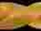 GRAPHITE Wiertło do metalu HSS-TiN 20.0 mm 57H176