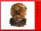 STAR WARS CHEWBACCA MÓWIACA PLUSZOWA MASKOTKA