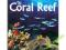The Coral Reef - Rafa Koralowa, Ocean, Delfiny